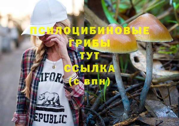гидра Балабаново